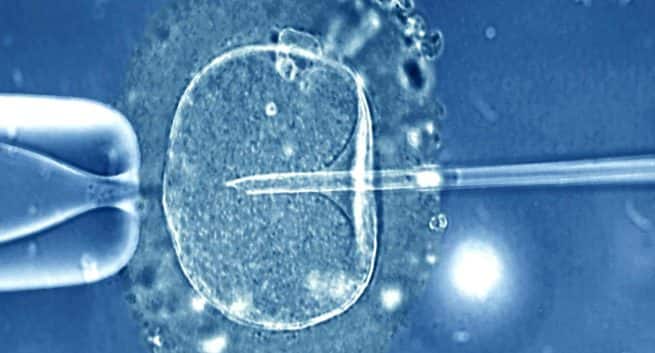Do Frozen Eggs And Sperms Give Success Rates? Explains Dr Duru Shah
