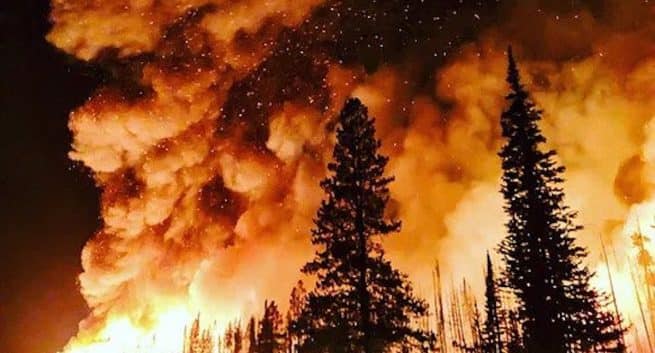 Can Exposure To Wildfire Smokes Cause Long Term Respiratory Problems?