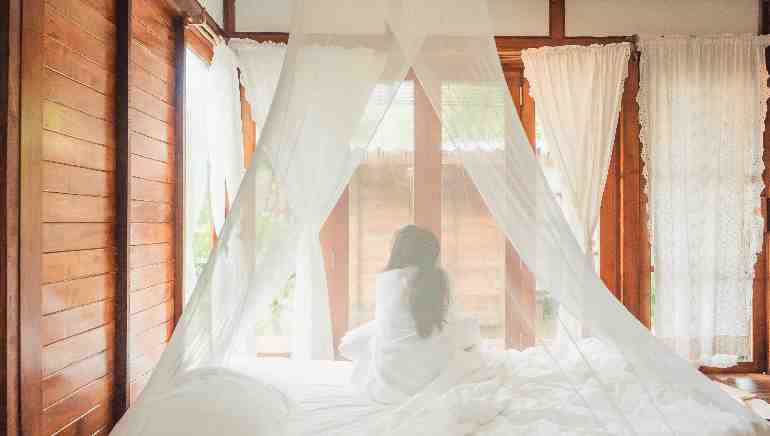On World Mosquito Day 2023, know how to get rid of mosquito bite scars