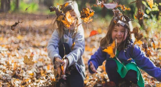 Is There A Link Between Children’s Academic Performance And Exercise?