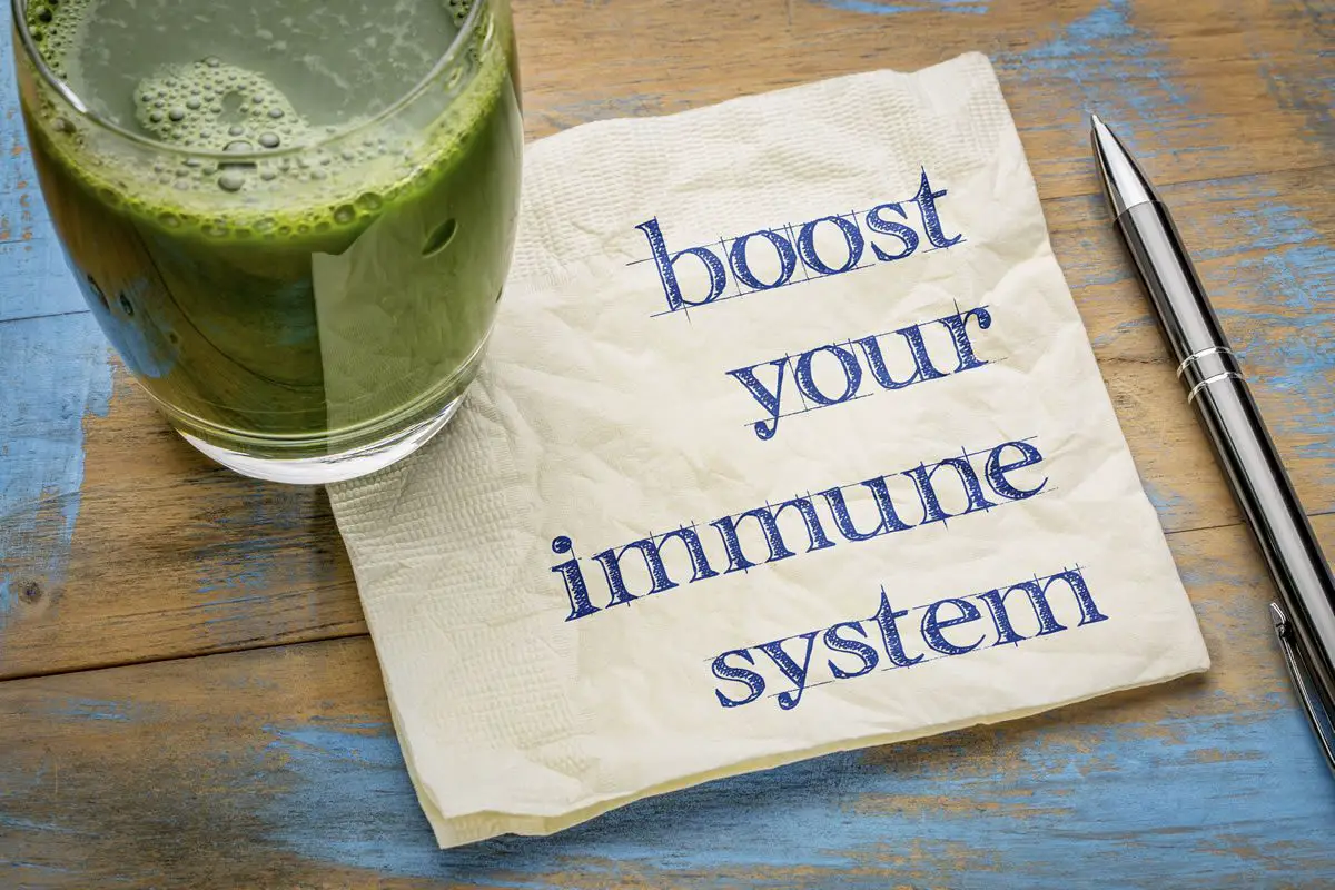 How to Support Your Immune System with Vitauthority’s Favorites